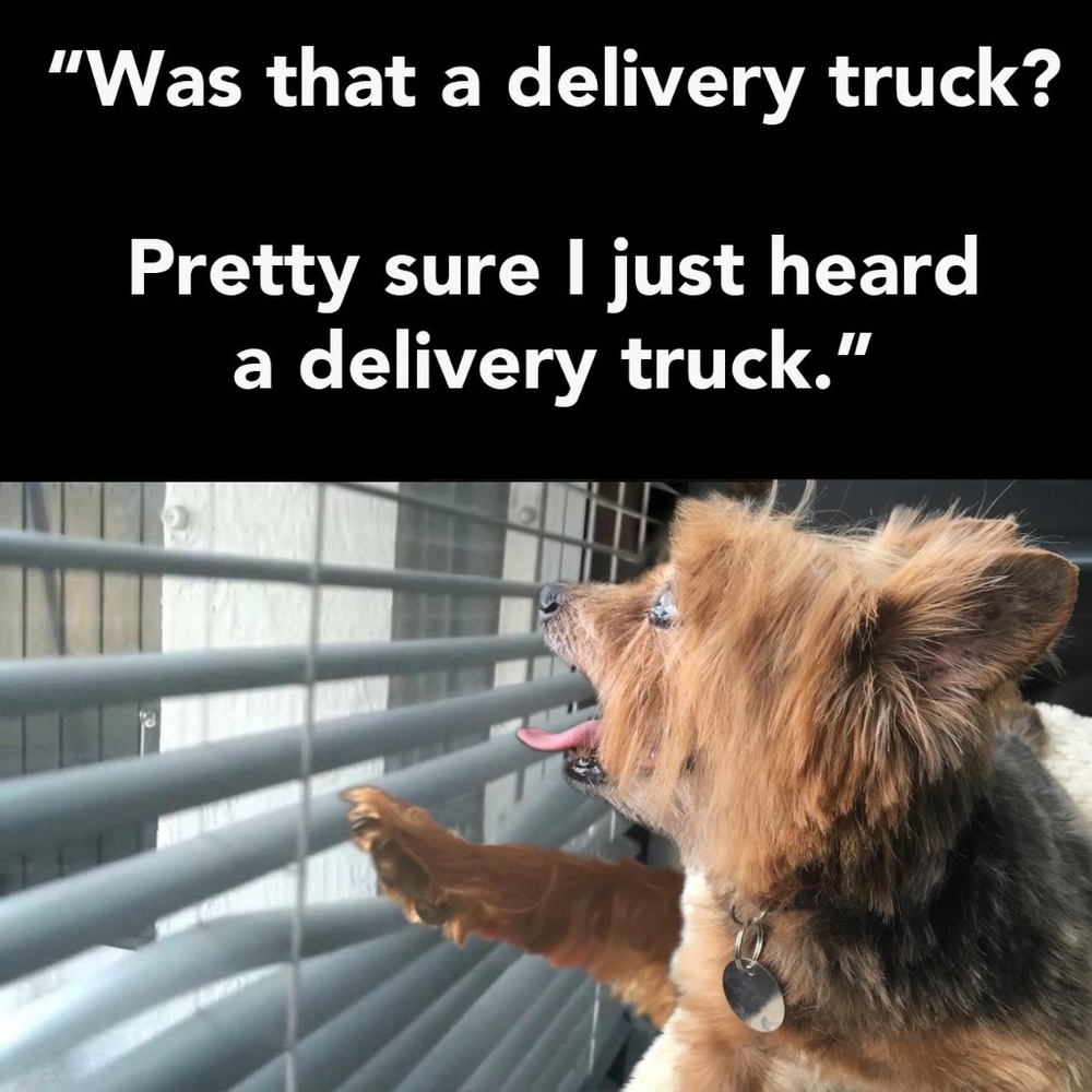 📦Fast Shipper📦 🚀